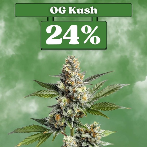[ES-SAM-FEM-OGKUSH-3ER] OG Kush – Feminized (3-pack)
