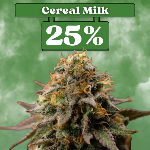 [ES-SAM-FEM-CEREALMILK-3ER] Cereal Milk – Féminisée (lot de 3)